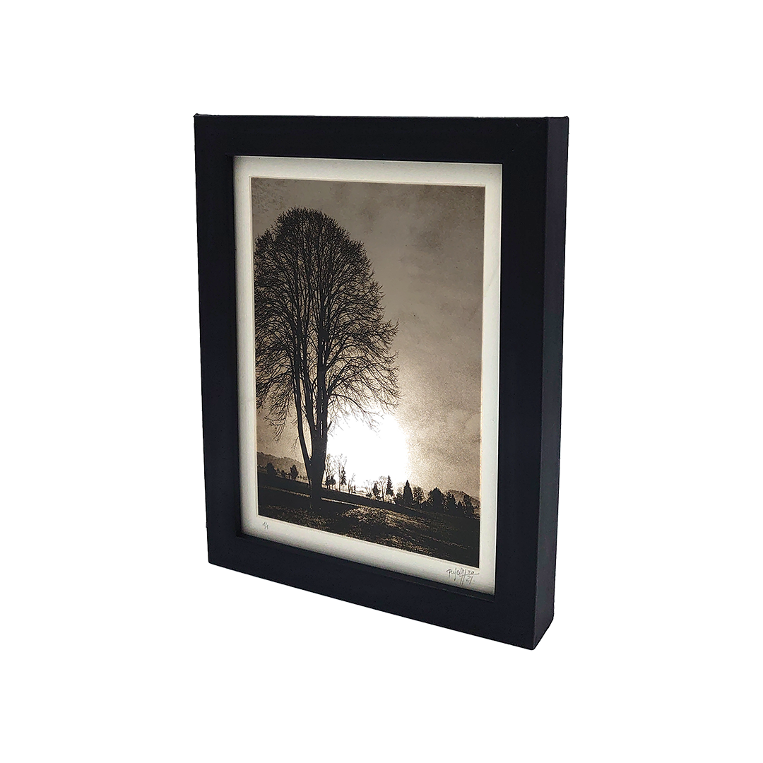 De la Incisión a la Luz "Creación 7" - Imagen 3