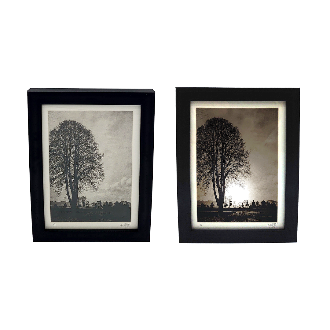 De la Incisión a la Luz "Creación 7" - Imagen 5