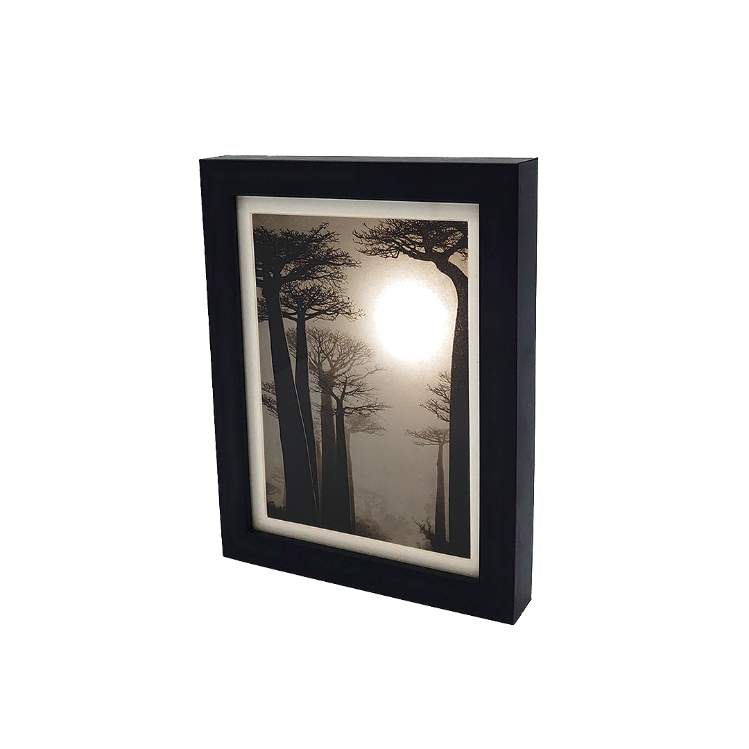 De la Incisión a la Luz "Creación 8" - Imagen 3