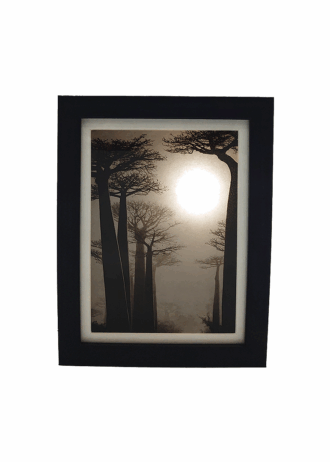Luz_8_2
