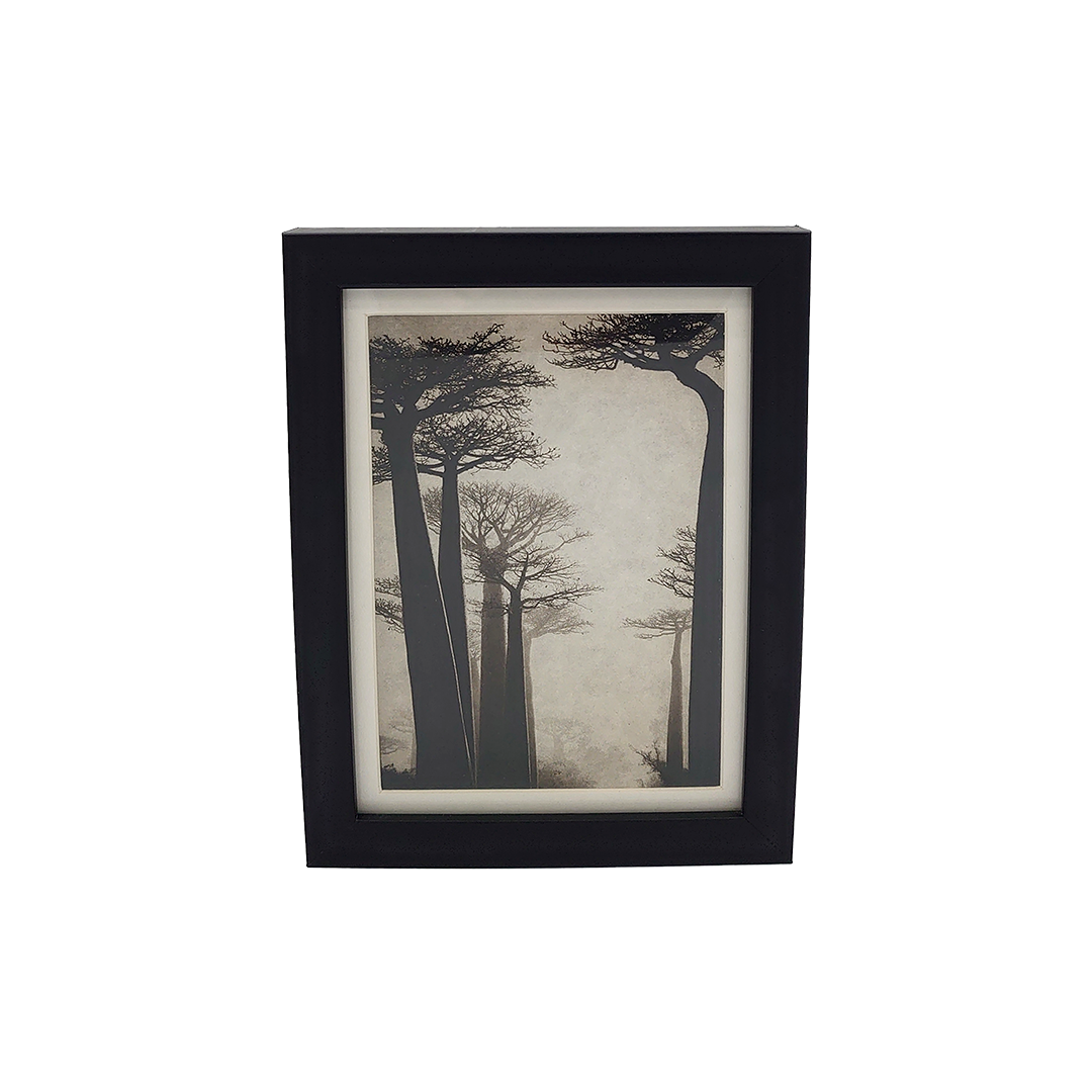 De la Incisión a la Luz "Creación 8" - Imagen 2