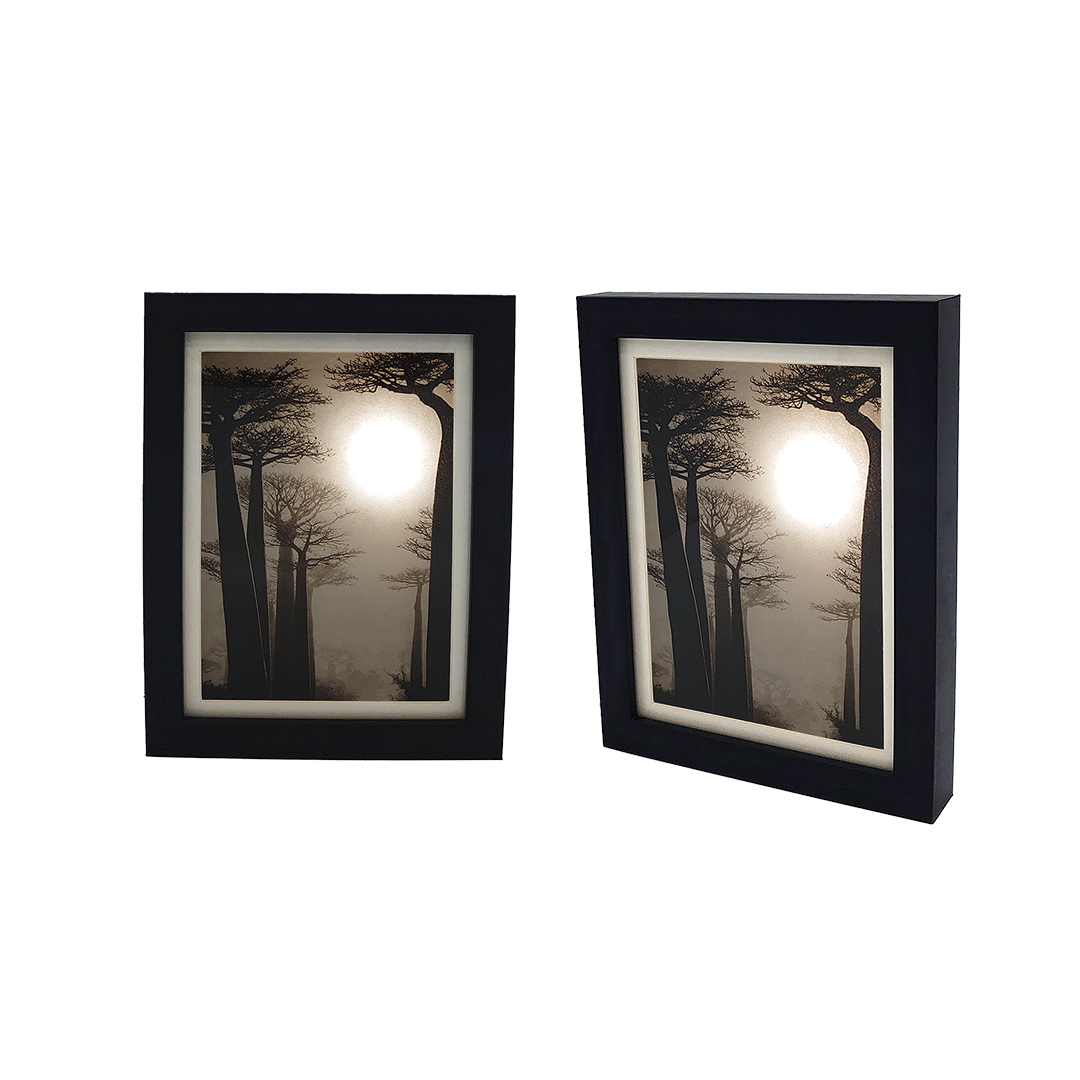 De la Incisión a la Luz "Creación 8" - Imagen 5