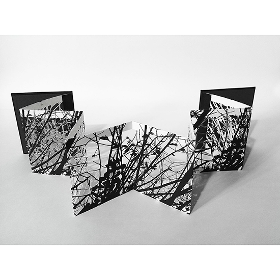 The Woods 3 - Imagen 6