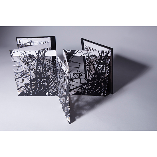 The Woods 3 - Imagen 21