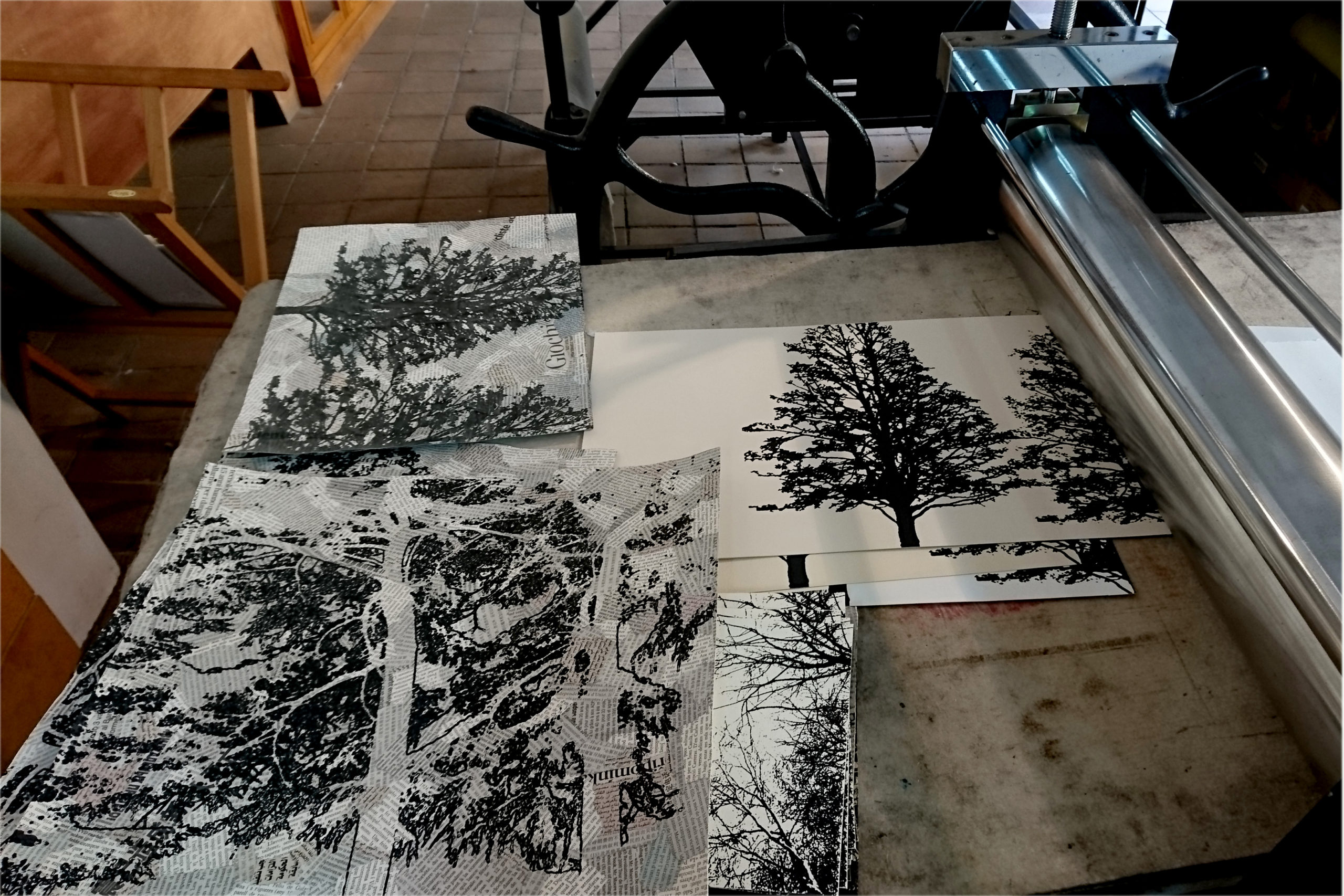 Recovery Urban Woods "Creación 24" - Imagen 6