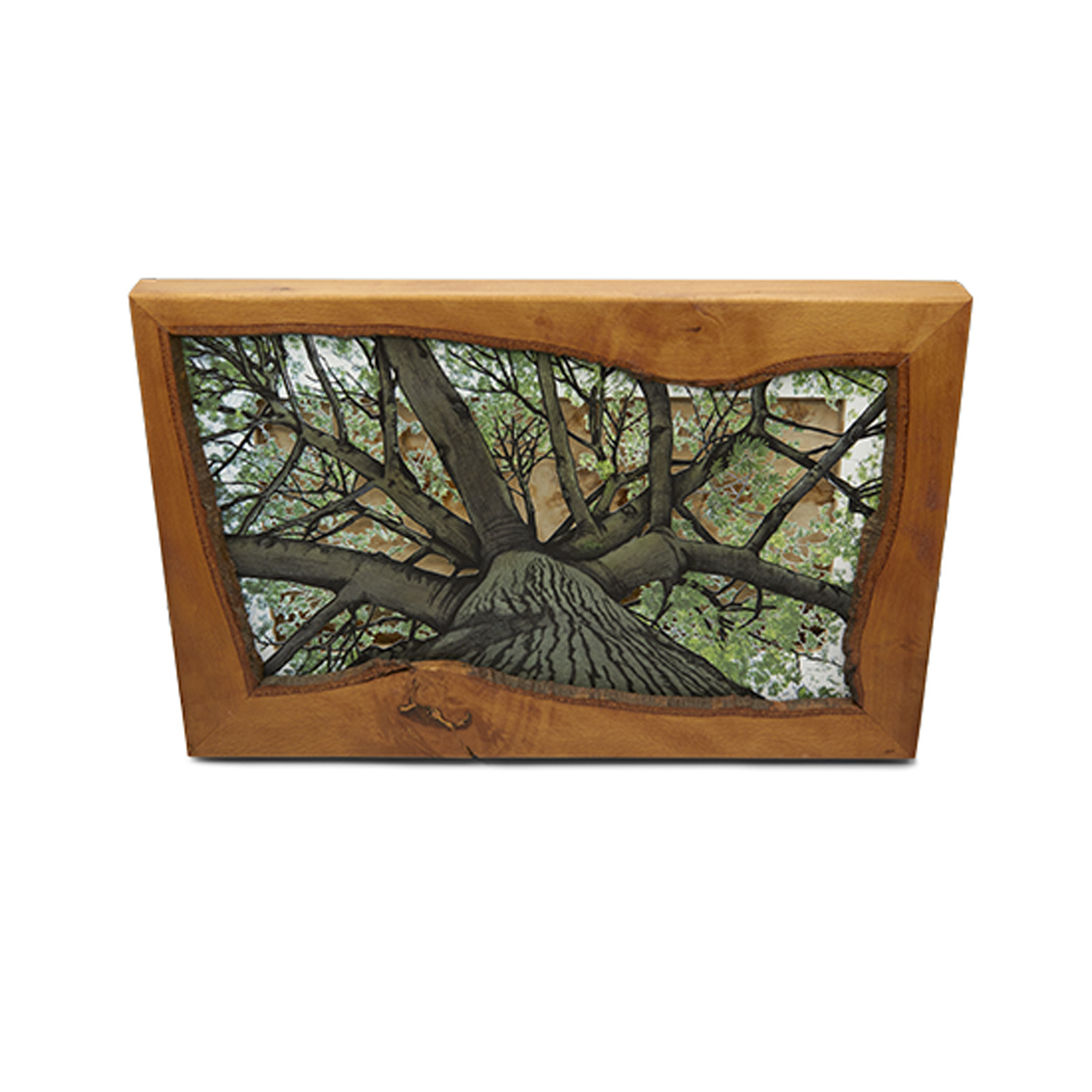 Grabado Tridimensional "Dentro del Bosque 2" - Imagen 2