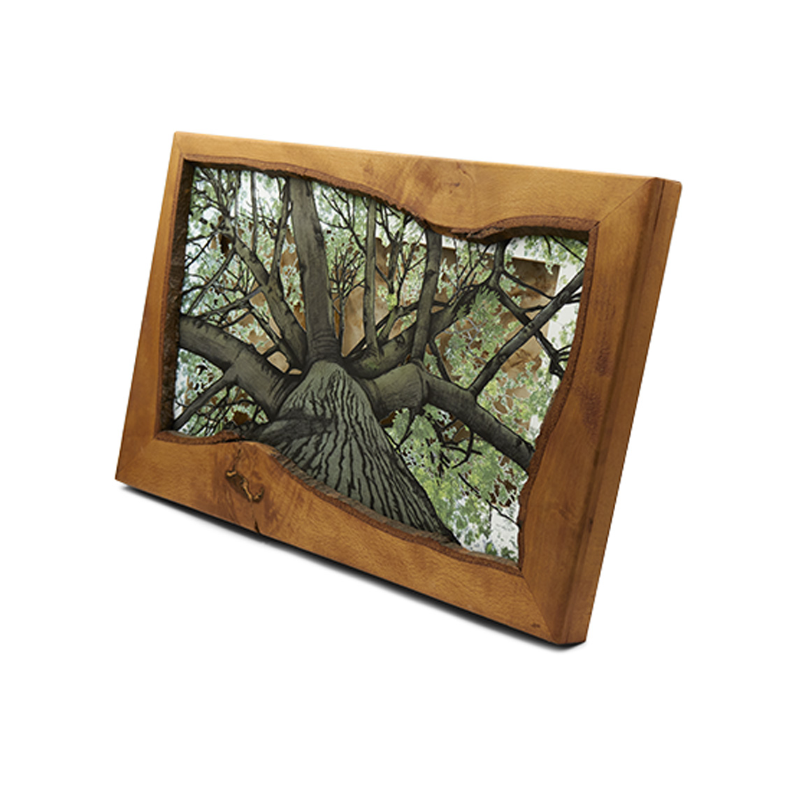 Grabado Tridimensional "Dentro del Bosque 2" - Imagen 3