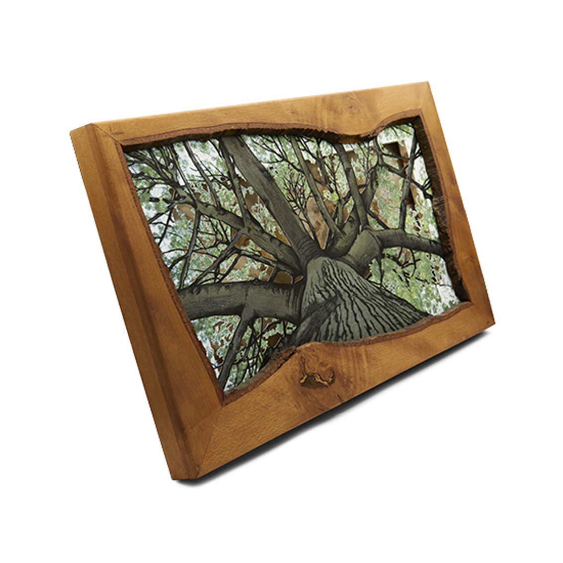 Grabado Tridimensional "Dentro del Bosque 2" - Imagen 4