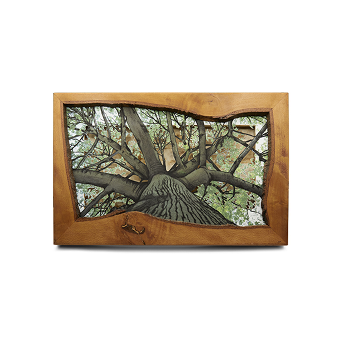 Grabado Tridimensional "Dentro del Bosque 2" - Imagen 5