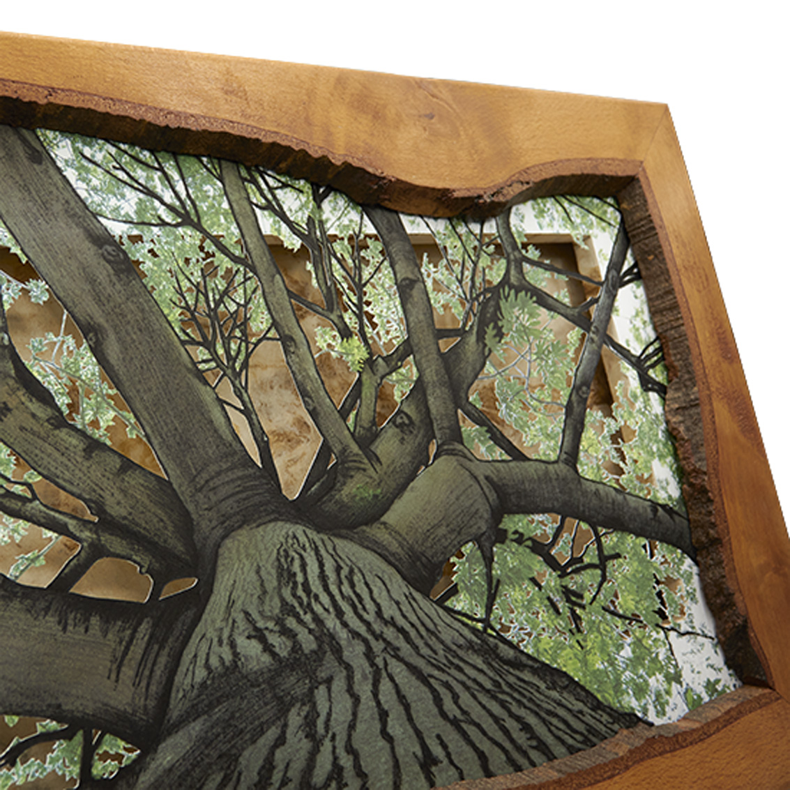 Grabado Tridimensional "Dentro del Bosque 2" - Imagen 6