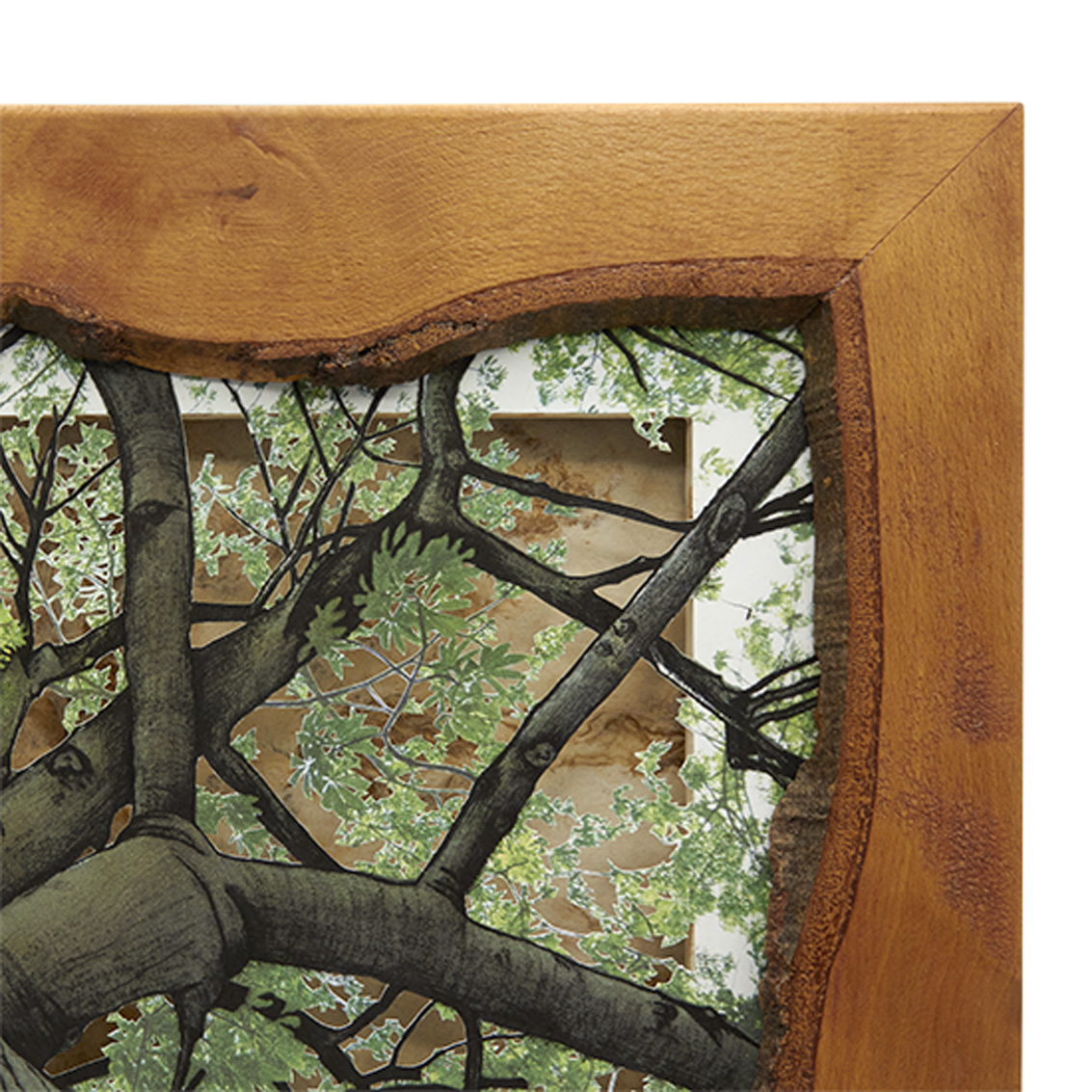 Grabado Tridimensional "Dentro del Bosque 2" - Imagen 7