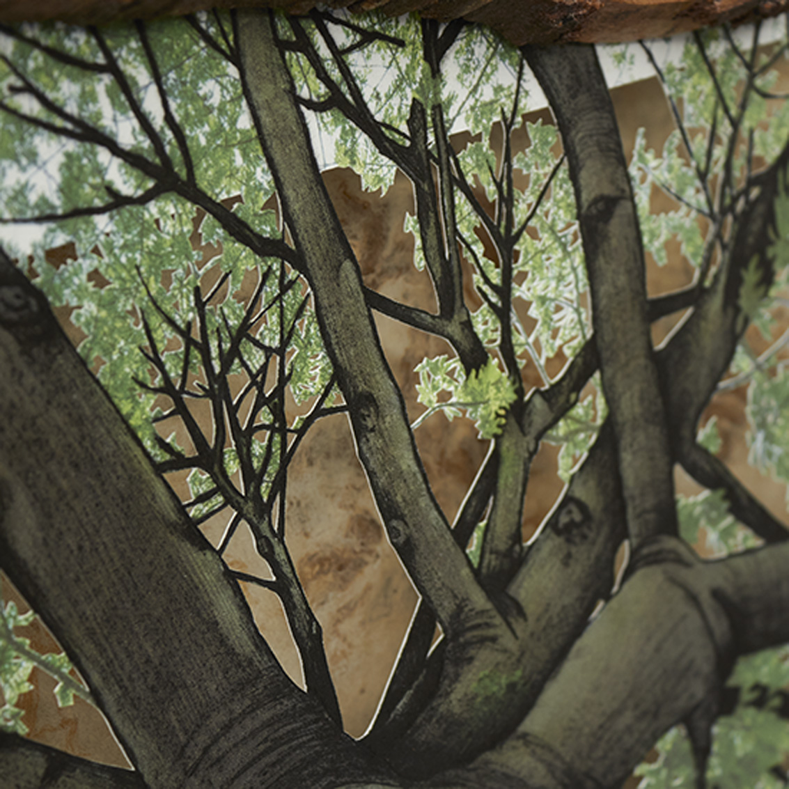 Grabado Tridimensional "Dentro del Bosque 2" - Imagen 8