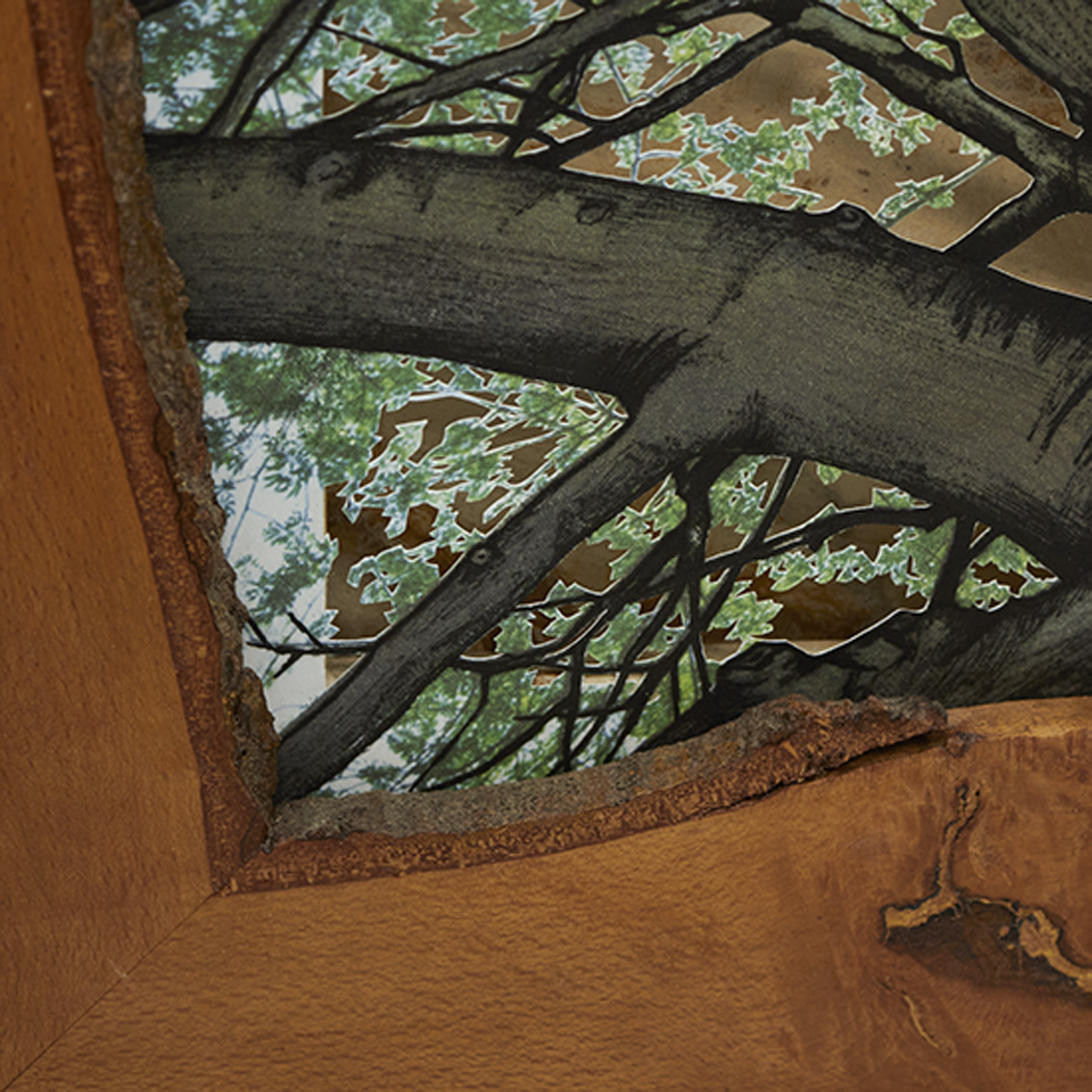 Grabado Tridimensional "Dentro del Bosque 2" - Imagen 9