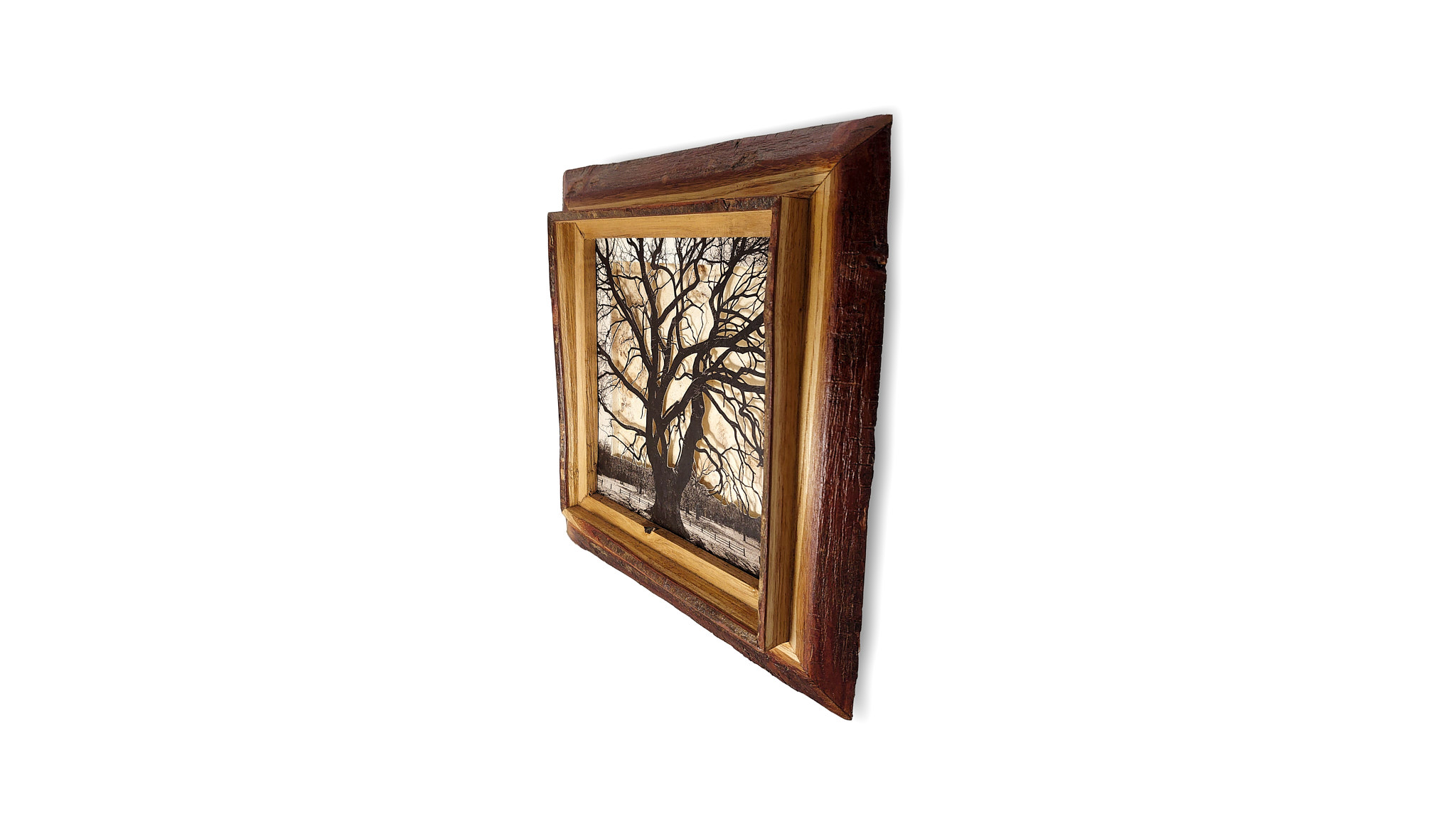 Grabado Tridimensional "Dentro del Bosque 3" - Imagen 2
