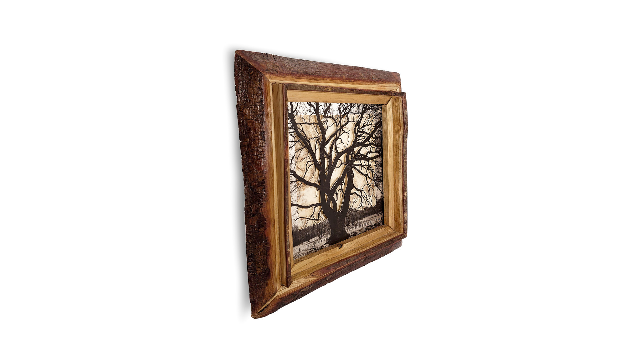 Grabado Tridimensional "Dentro del Bosque 3" - Imagen 3