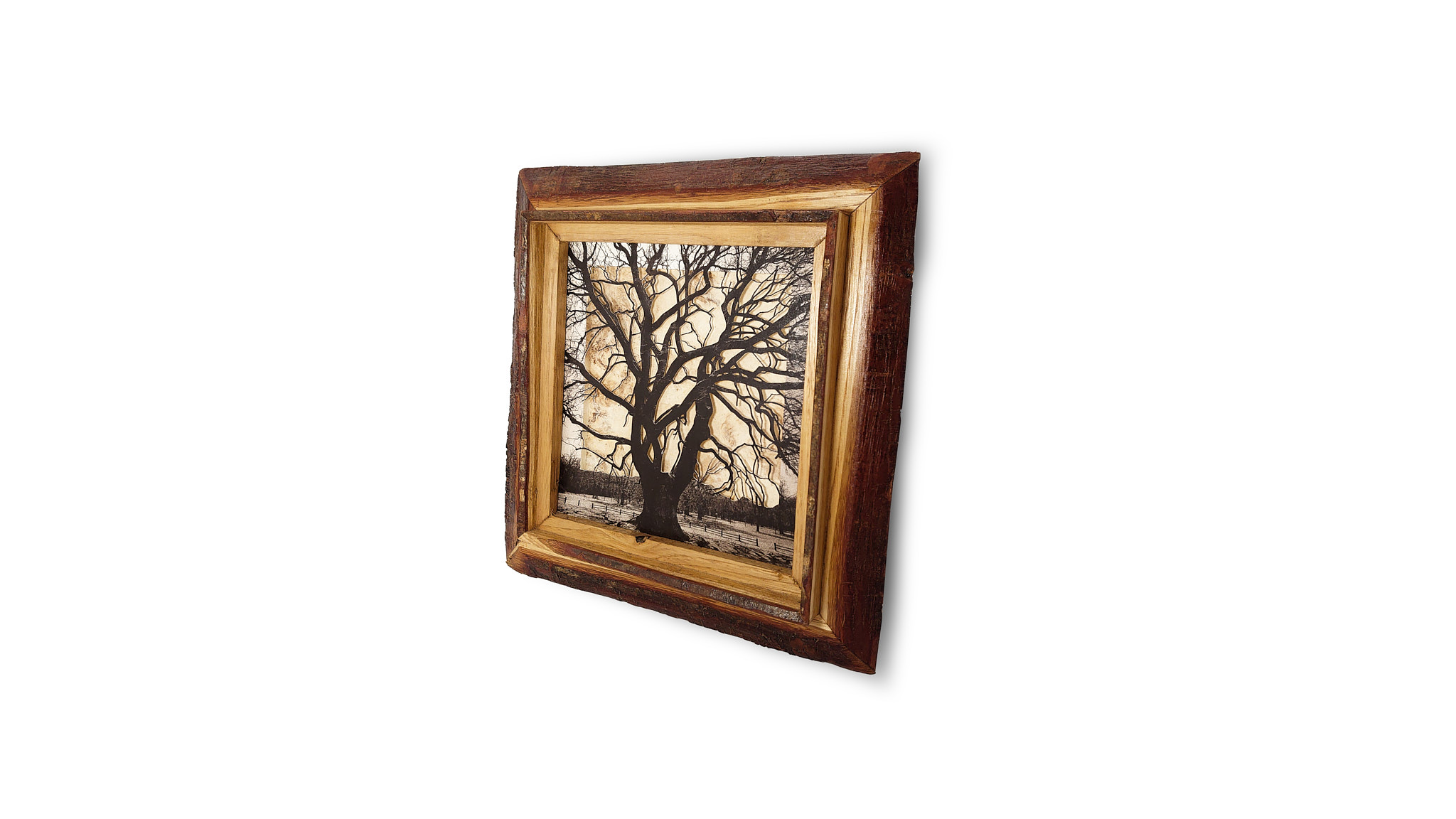 Grabado Tridimensional "Dentro del Bosque 3" - Imagen 6