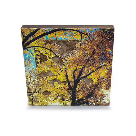 Grabado Tridimensional "Creación 13" - Imagen 2