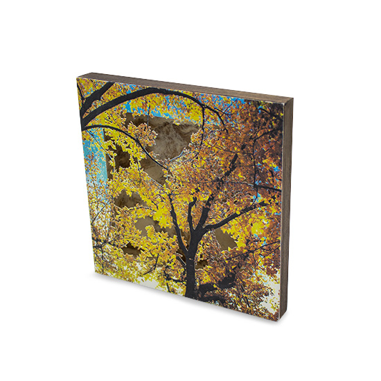 Grabado Tridimensional "Creación 13" - Imagen 3