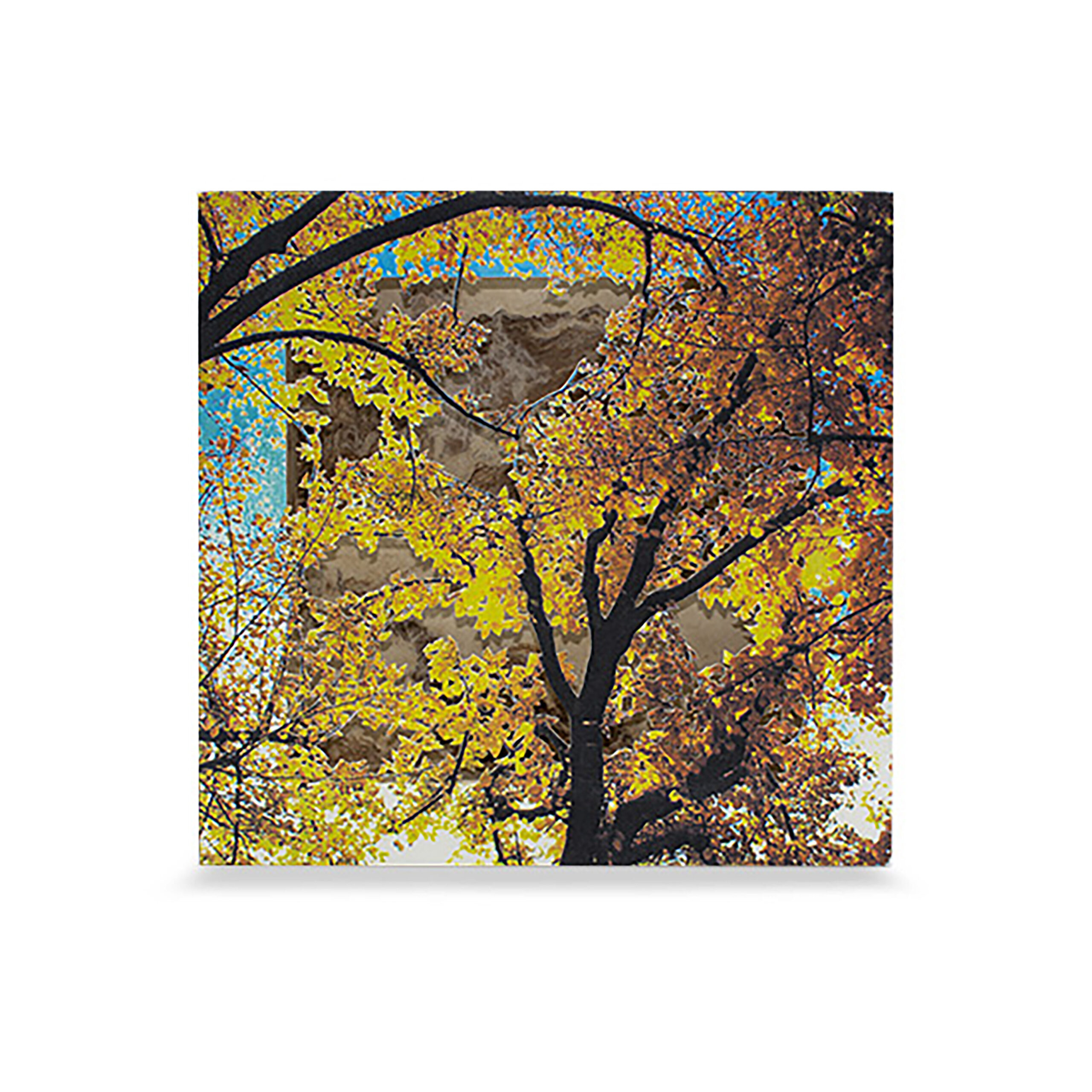 Grabado Tridimensional "Creación 13"