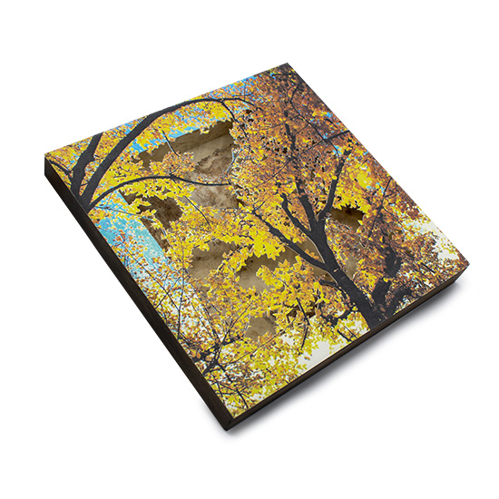 Grabado Tridimensional "Creación 13" - Imagen 6