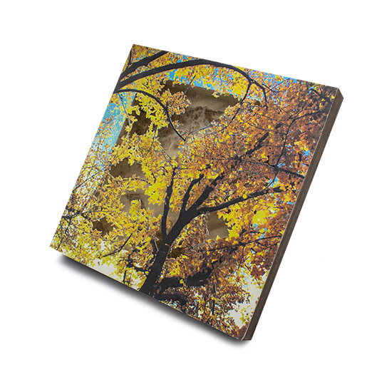 Grabado Tridimensional "Creación 13" - Imagen 7