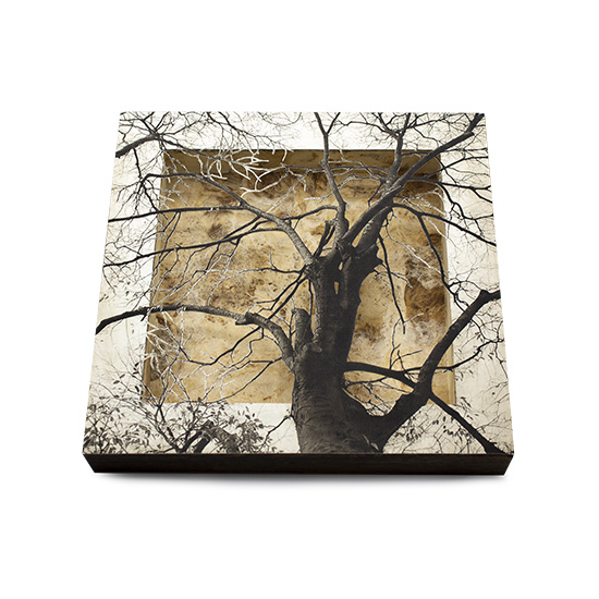 Grabado Tridimensional "Creación 2" - Imagen 2