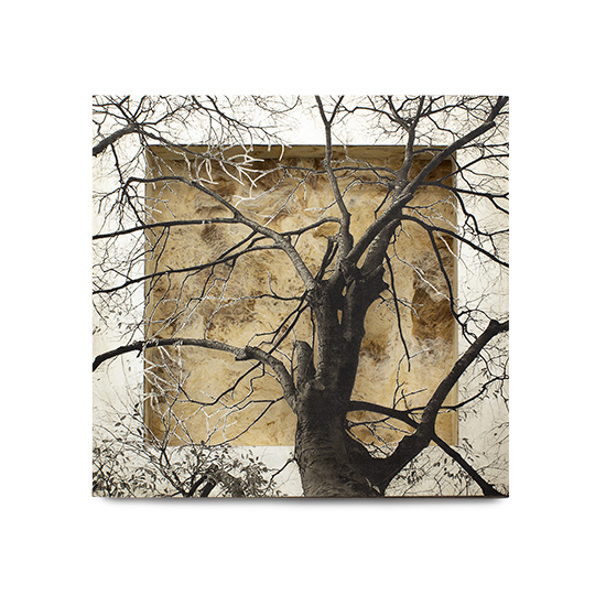 Grabado Tridimensional "Creación 2" - Imagen 4