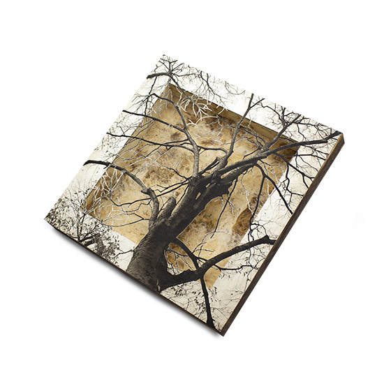 Grabado Tridimensional "Creación 2" - Imagen 5