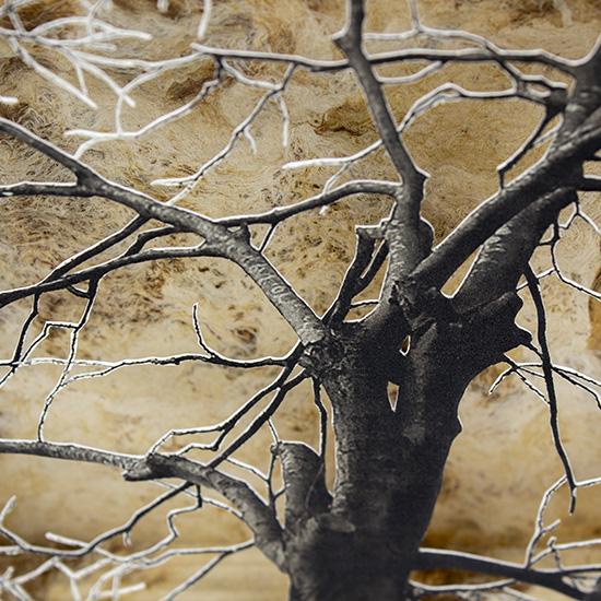 Grabado Tridimensional "Creación 2" - Imagen 3