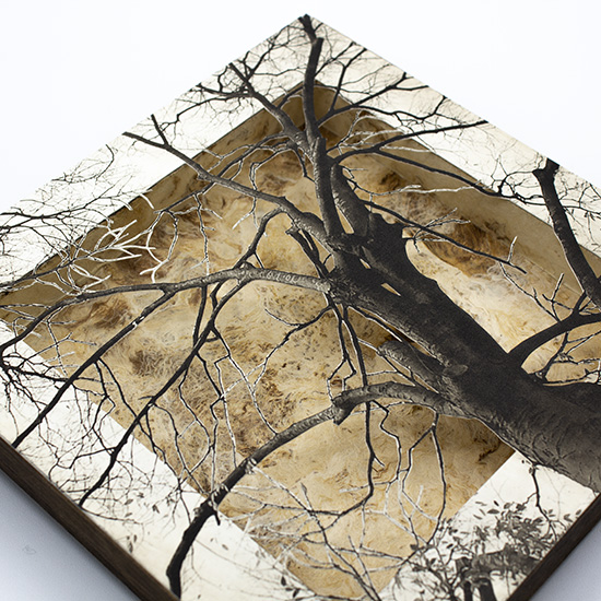 Grabado Tridimensional "Creación 2" - Imagen 7