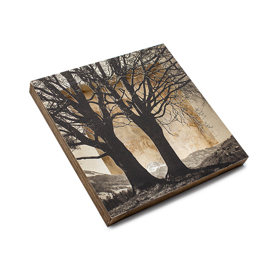 Grabado Tridimensional "Creación 5" - Imagen 3