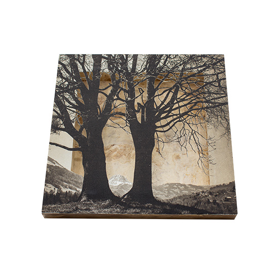 Grabado Tridimensional "Creación 5" - Imagen 5