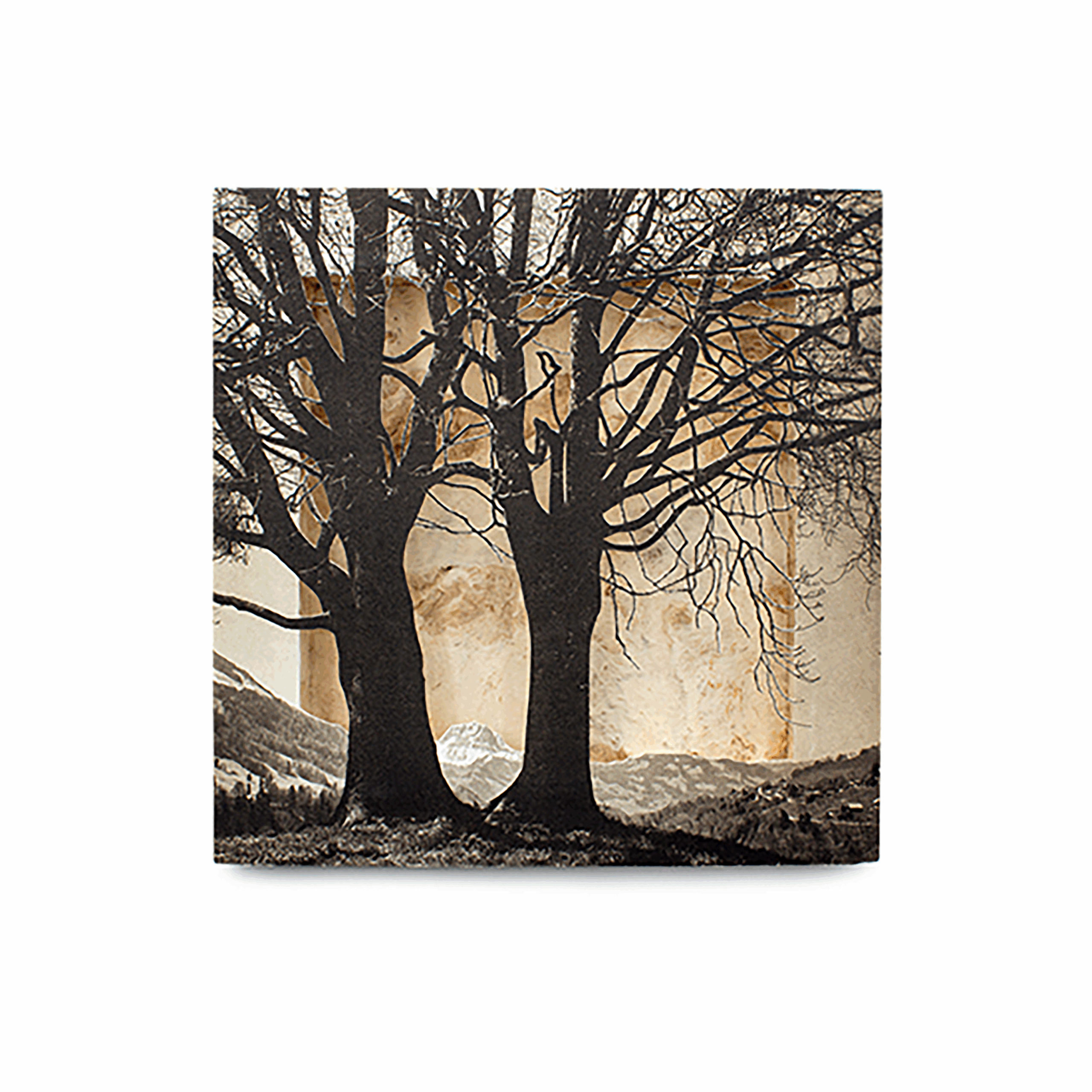 Grabado Tridimensional "Creación 5"