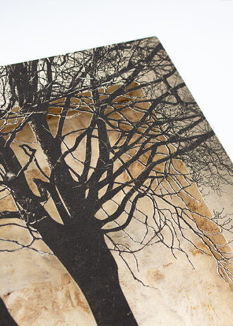 Obra_13 (6)