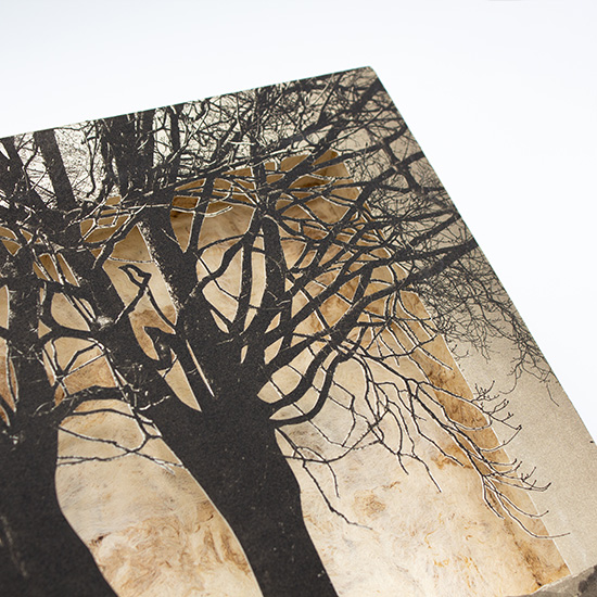 Grabado Tridimensional "Creación 5" - Imagen 2