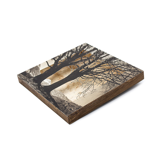 Grabado Tridimensional "Creación 5" - Imagen 7