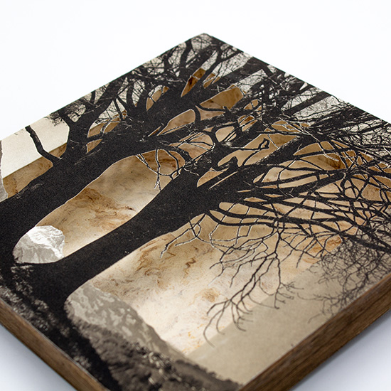 Grabado Tridimensional "Creación 5" - Imagen 8