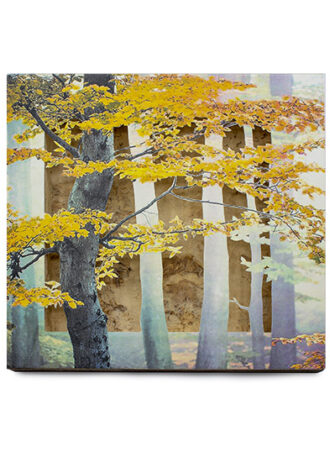 Obra_14_web (1)