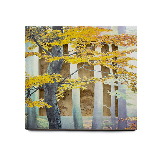 Grabado Tridimensional "Creación 14" - Imagen 2