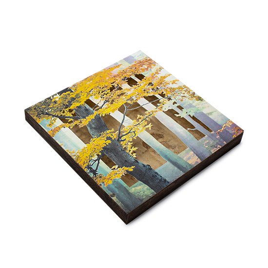 Grabado Tridimensional "Creación 14" - Imagen 3