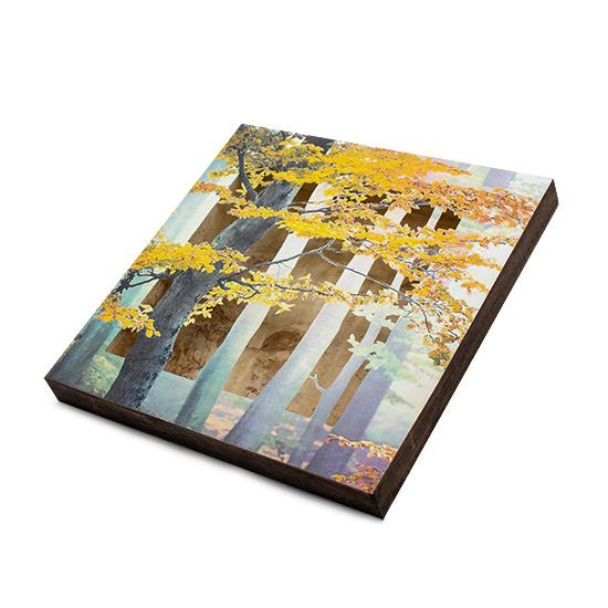 Grabado Tridimensional "Creación 14" - Imagen 4