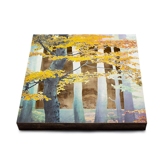 Grabado Tridimensional "Creación 14" - Imagen 5