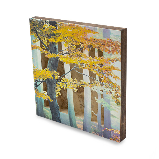 Grabado Tridimensional "Creación 14" - Imagen 7