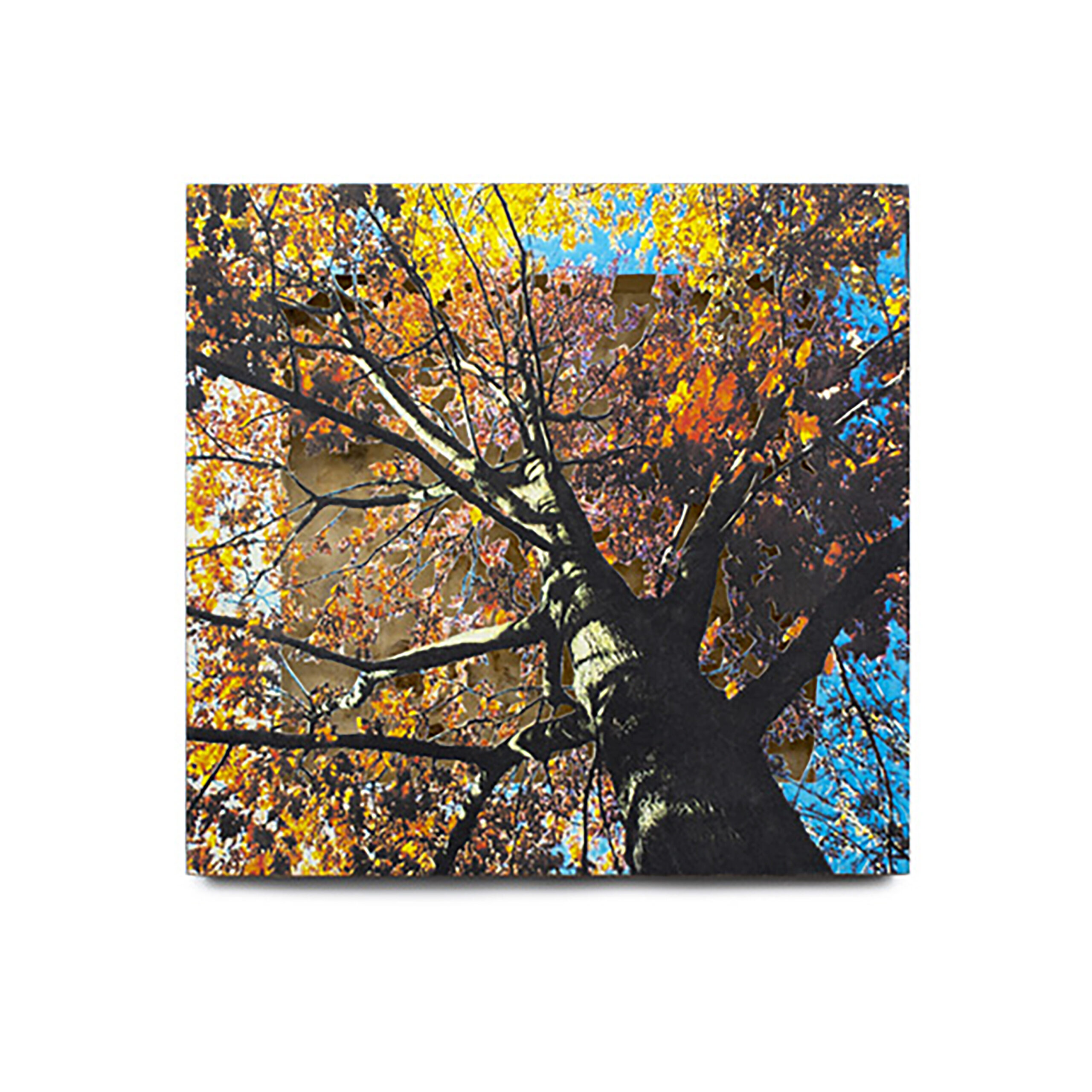 Grabado Tridimensional "Creación 6" - Imagen 8