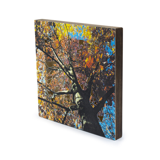 Grabado Tridimensional "Creación 6" - Imagen 5