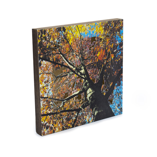 Grabado Tridimensional "Creación 6" - Imagen 3