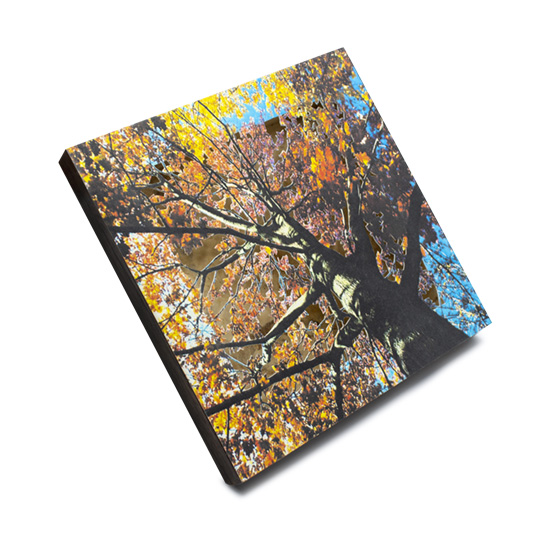 Grabado Tridimensional "Creación 6" - Imagen 6