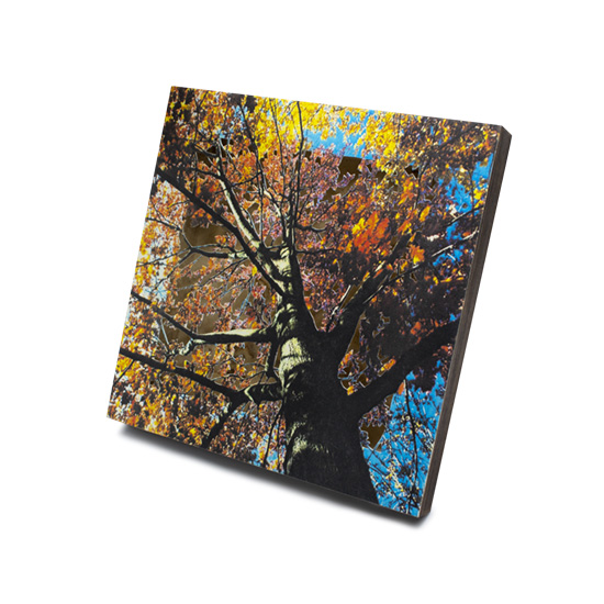 Grabado Tridimensional "Creación 6" - Imagen 7