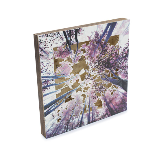 Grabado Tridimensional "Creación 7" - Imagen 2