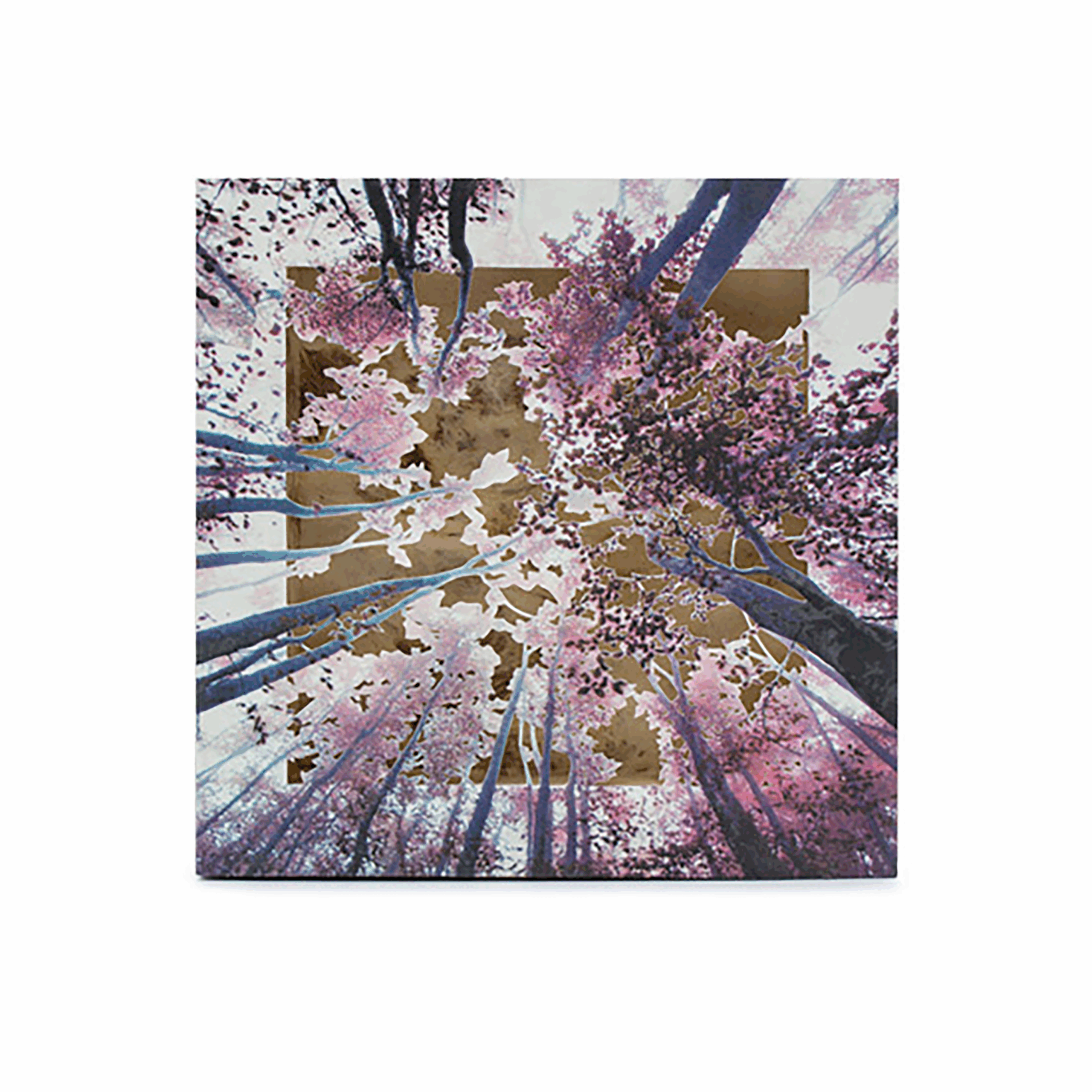 Grabado Tridimensional "Creación 7"